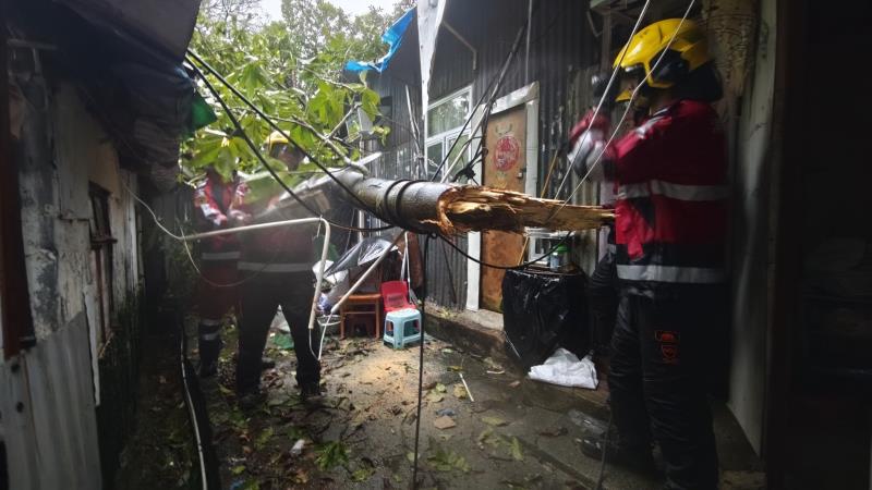 超強颱風樺加沙襲港，消防處接獲逾130宗緊急塌樹事故。消防處社交專頁。