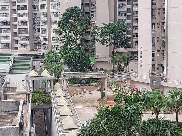 (食環署facebook圖片)